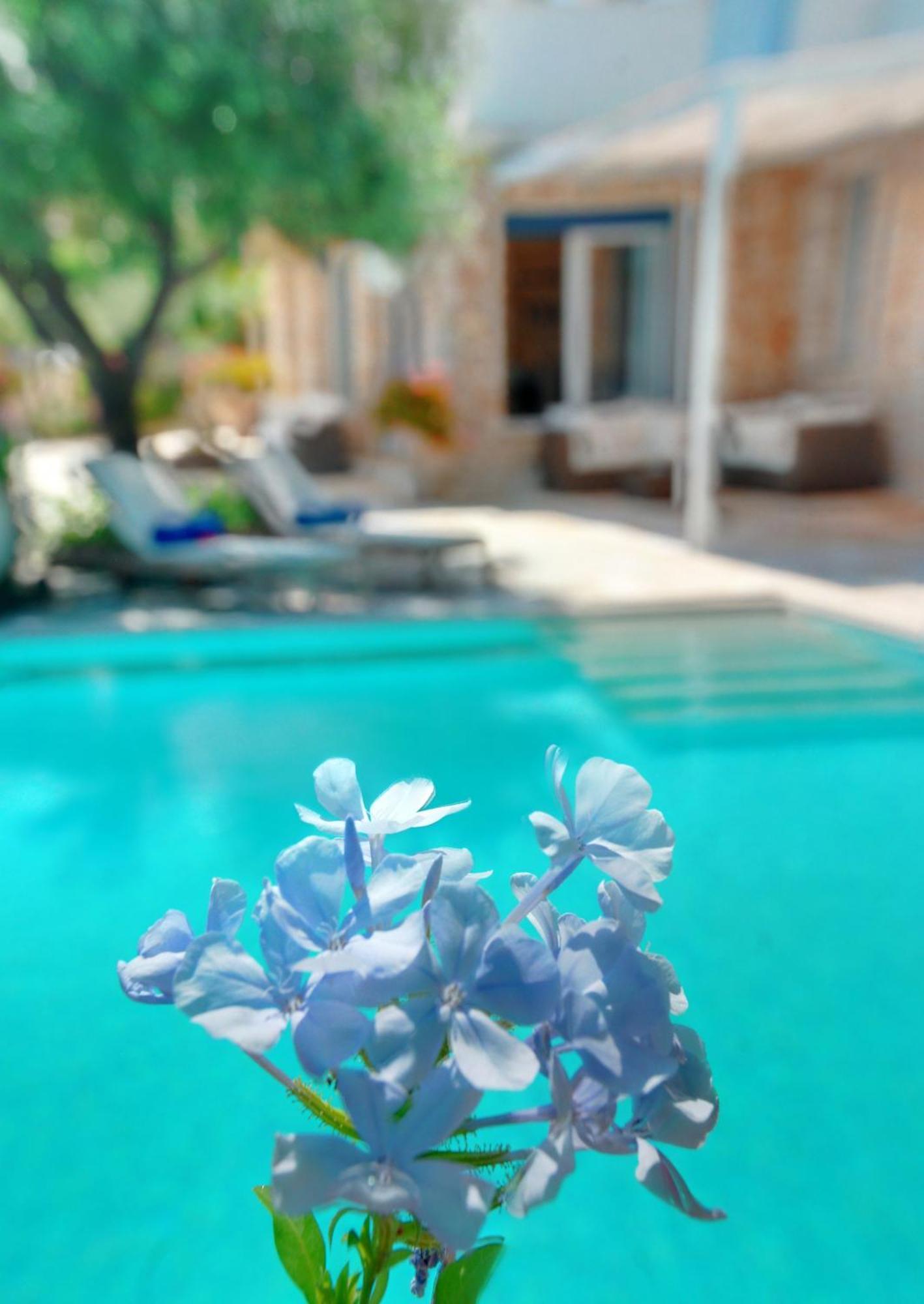 Corfu Luxury Villas Barbati Room photo